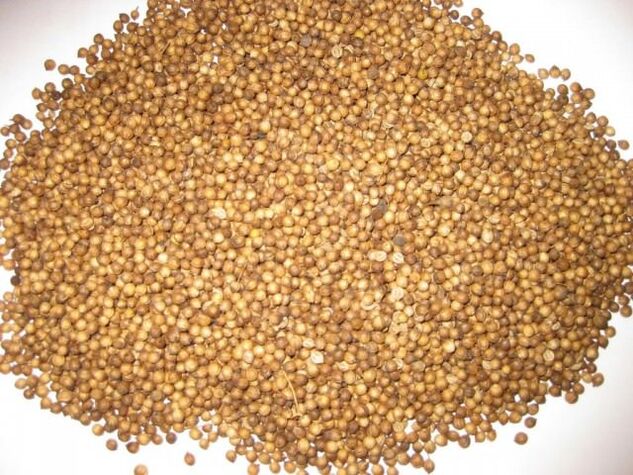 Las semillas de cilantro ayudan a eliminar los parásitos del cuerpo.
